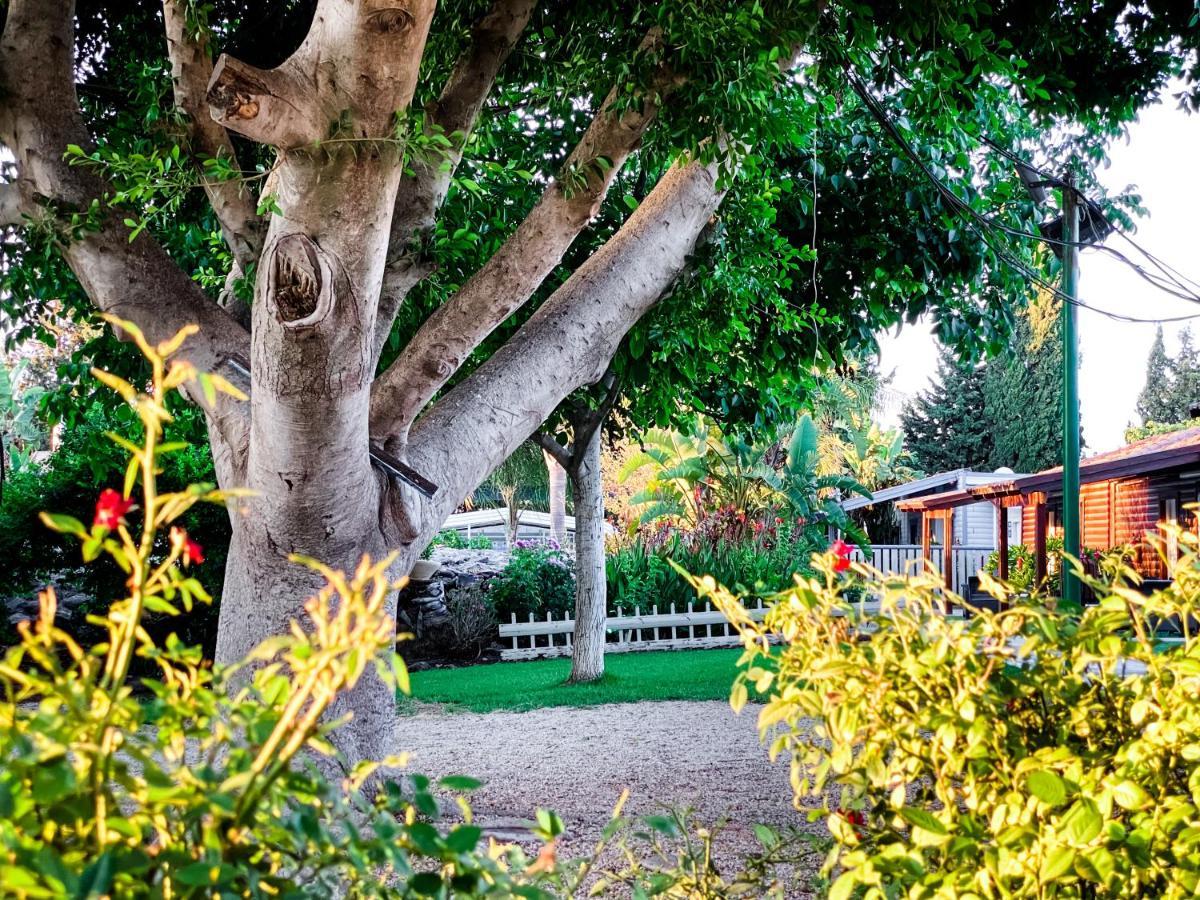 Etzel Tami Hospitality Hotel Neot Golan Ngoại thất bức ảnh